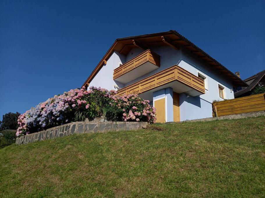 Haus Sonnenhang +Seeblick+Pool Reifnitz Buitenkant foto