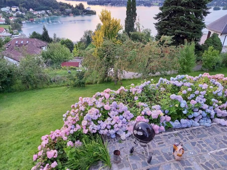 Haus Sonnenhang +Seeblick+Pool Reifnitz Buitenkant foto